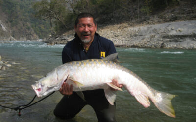 5-1024x768 5-1024x768